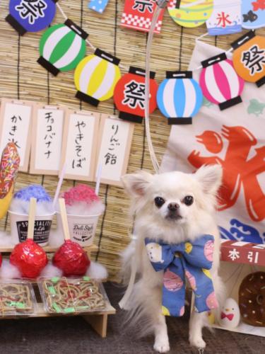 20240707りゅうくん